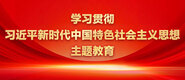 www.日逼视频资源.com学习贯彻习近平新时代中国特色社会主义思想主题教育_fororder_ad-371X160(2)